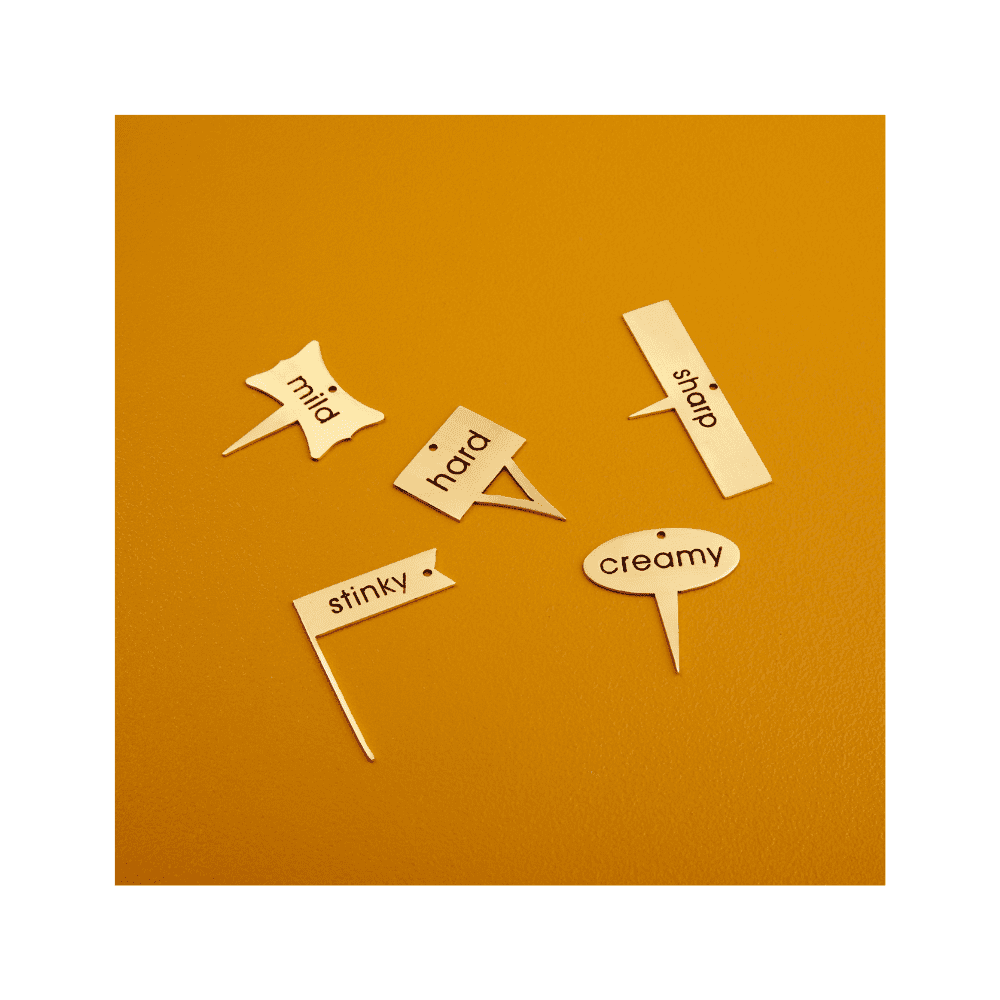 Set de 5 marqueurs à fromage