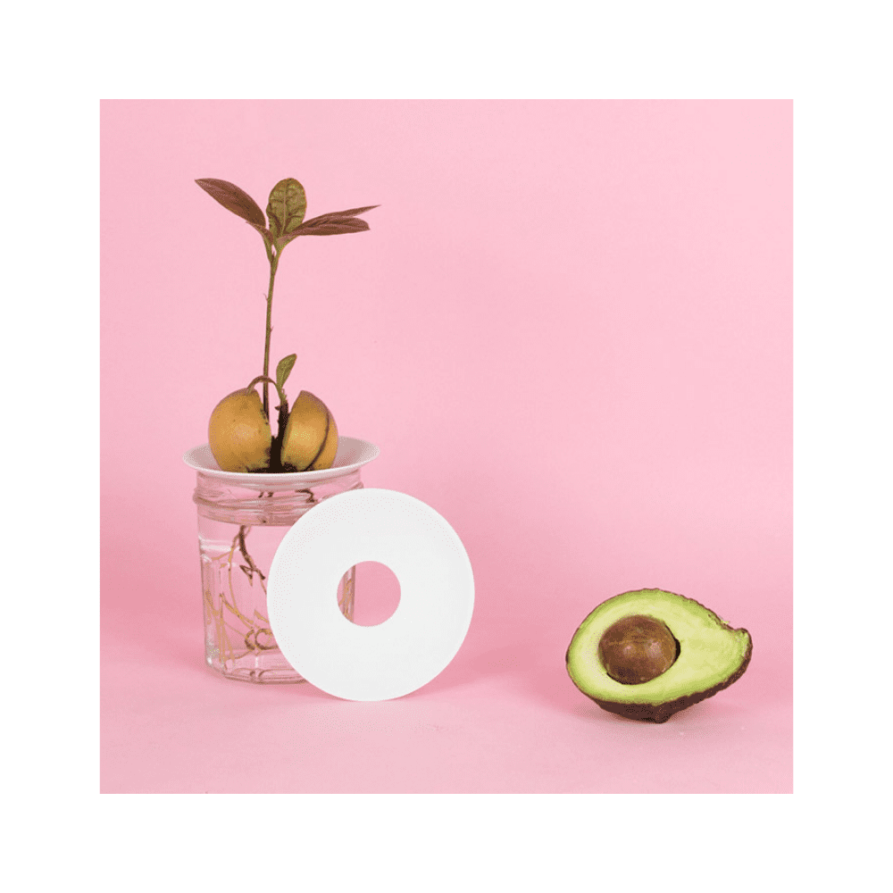 Plaque de germination et de propagation en porcelaine - Large