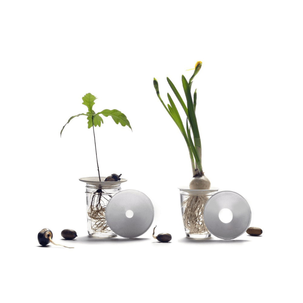 Coffret Cadeau Deluxe – Germination & Propagation dans l'eau