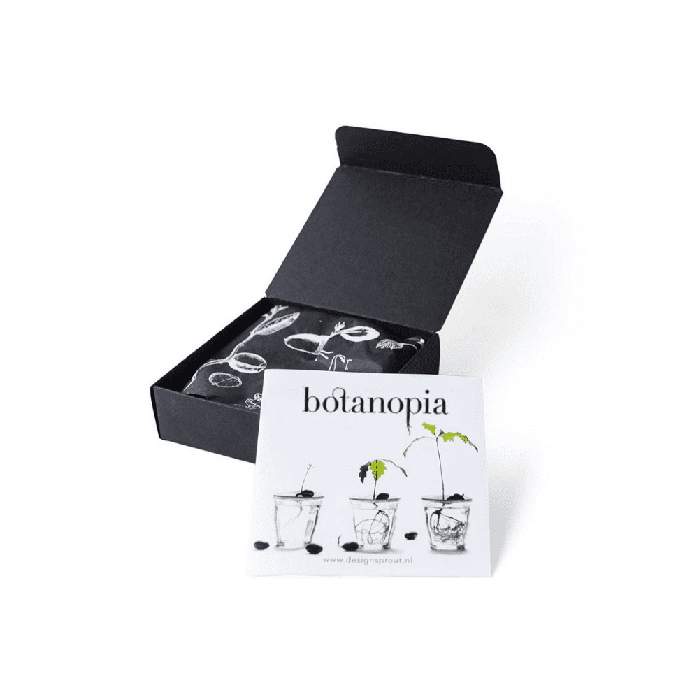 Plaque de germination et de propagation en porcelaine - Small – Image 2