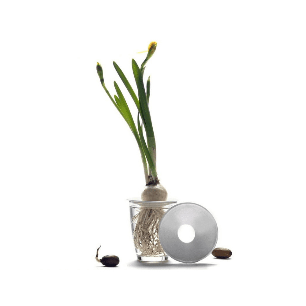 Plaque de germination et de propagation en porcelaine - Large – Image 3