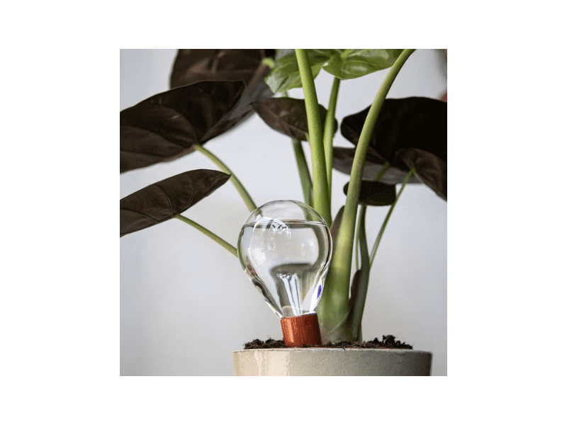 Système d'arrosage naturel "WaterWorks"