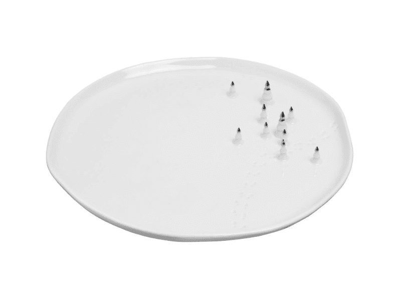 Assiette de présentation "Forest"