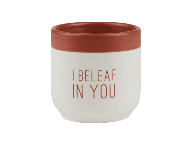 Cache-pot "I Beleaf In You"