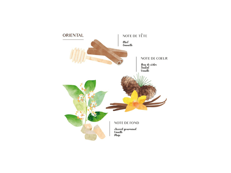 Diffuseur à bâtonnets - 200ml – Image 3