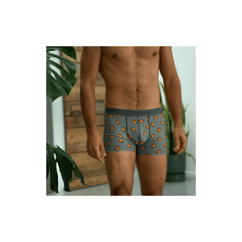 Boxer en coton biologique