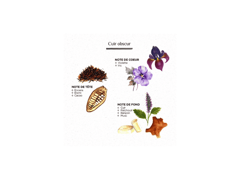 Diffuseur à bâtonnets - 200ml – Image 9