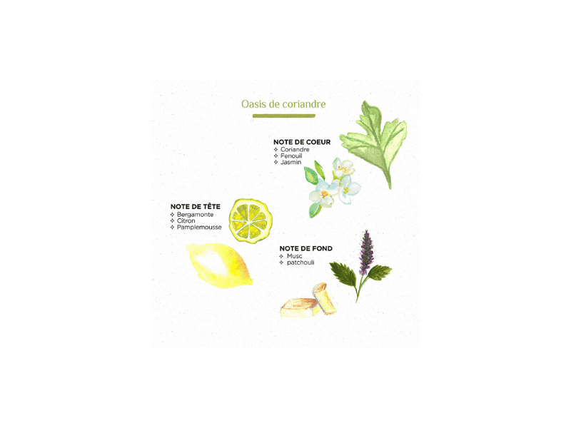 Diffuseur à bâtonnets - 200ml – Image 8