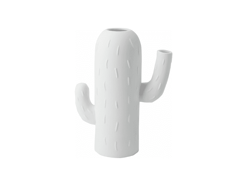 Vase Cactus "Colonnaire"